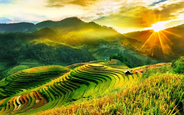 Mù Cang Chải đẹp siêu thực, du khách tranh thủ check-in cuối mùa vàng