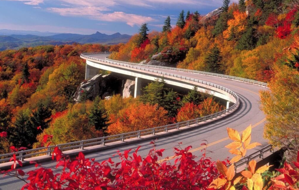 Cảnh lá đổi màu tuyệt đẹp ở Ontario vào mùa thu