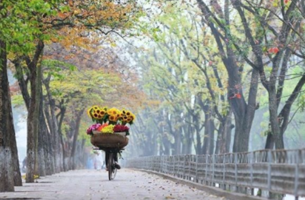 Hà Nội - Nơi mà mỗi góc phố, mỗi hương vị, mỗi âm thanh đều gợi những cảm xúc đặc biệt